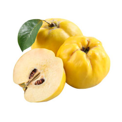 melacotogna
